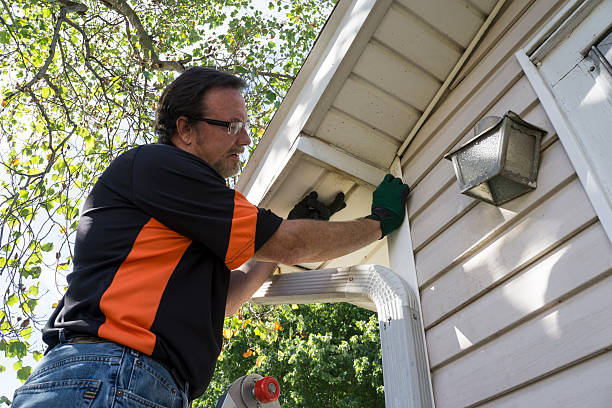 Best Shed Removal  in Venice, FL